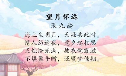 唐宋诗v1.9截图