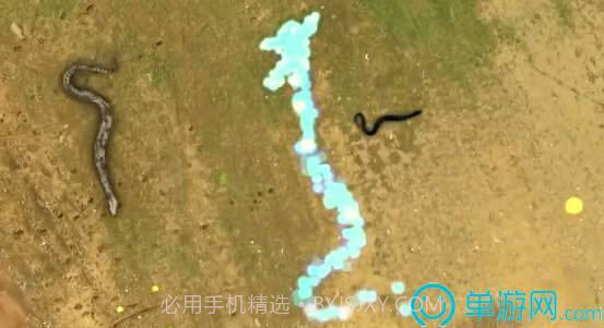 真人版贪吃蛇v1.11截图