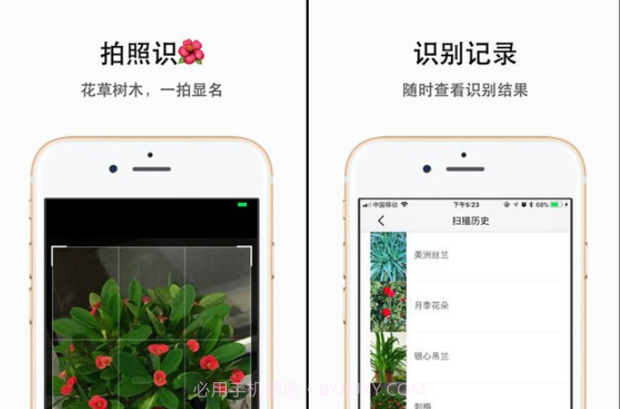 plantyx植物识别v1.0.13截图