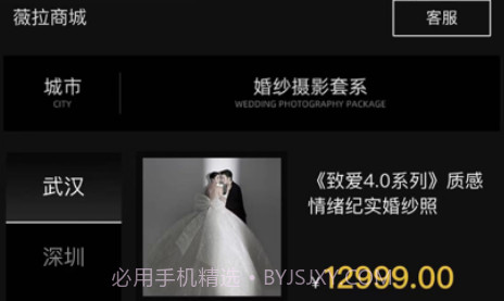 薇拉图志v1.9截图