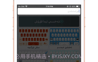 Badam输入法v1.0.18截图