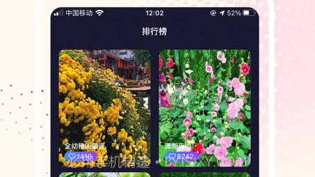 视频壁纸大全v1.11截图