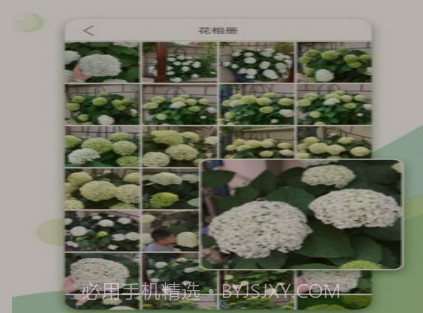 绿手指v5.2.13截图