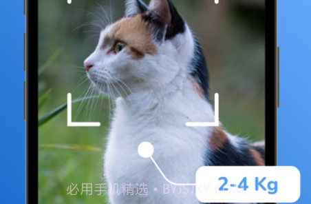 猫品种标识符:猫扫描仪v1.9截图