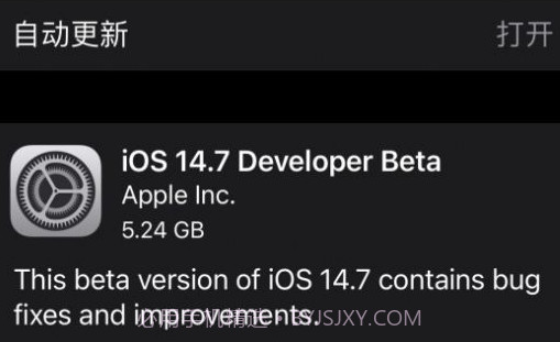 iOS14.7正式版v1.6截图