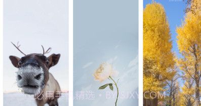简单壁纸v1.9截图