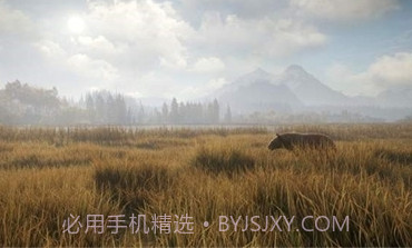 猎人：荒野的召唤正版v1.10截图