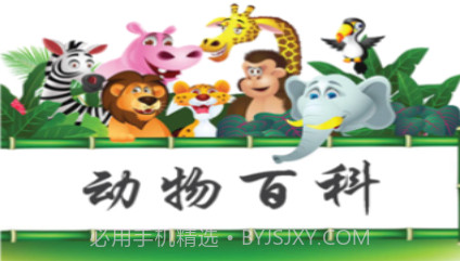 动物百科v1.9截图