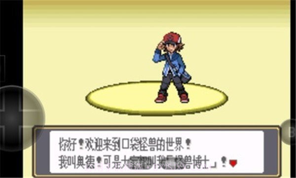 口袋妖怪黑白v3.0.8截图