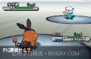口袋妖怪-白2v3.9截图