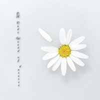 雏菊的二维世界 vv1.10
