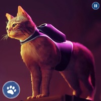 猫模拟器恐怖生活
