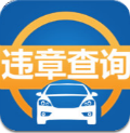 免费全国交通违章查询
