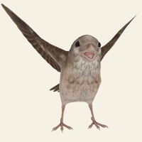 救救那小鸟 vv1.11