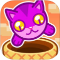 猫猫篮子