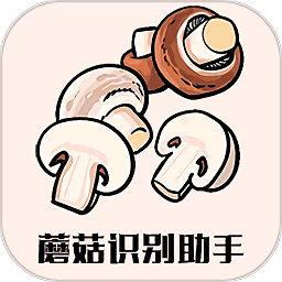 蘑菇识别助手