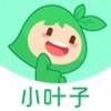 小叶子智能陪练版 vv7.6.19