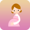 孕妇饮食 vv1.16