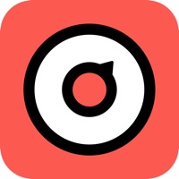 小宝爱决定 vv1.0.13