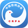 中国信鸽协会 vv2.2.8