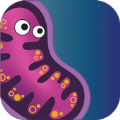 合并生物进化v1.0.1