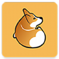 corgi vv1.0.13