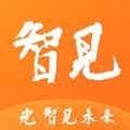光智见未来 vv1.15