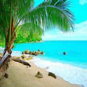 荒岛惊魂最新版