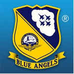 蓝色天使特技飞行 vv1.2.25