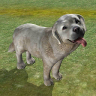 牧羊犬模拟器 v1.21