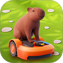 宠物消不停完整版