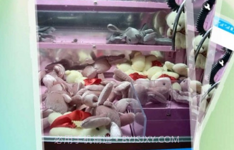 爪子星球v3.0.10截图