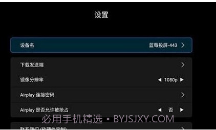 蓝莓投屏v1.3.20截图