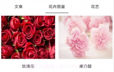 鲜花助力物理v1.13截图