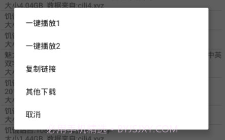 比特舟pro鐎瑰宕渧1.10截图