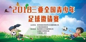 巴西足球v1.7.8截图