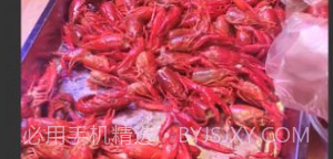 吉芸图片编辑v2.2.8截图