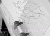 光学绘画V2.7截图