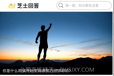 芝士问答v1.0.11截图