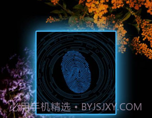 真实指纹解锁v2.6截图
