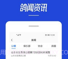 青鸽网v3.6.10截图