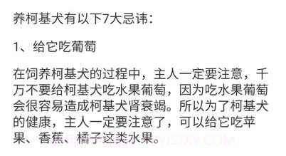 宠物点点v1.4.5截图