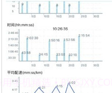 Pacerv4.6截图