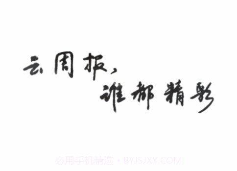 工作周报v1.0.13截图