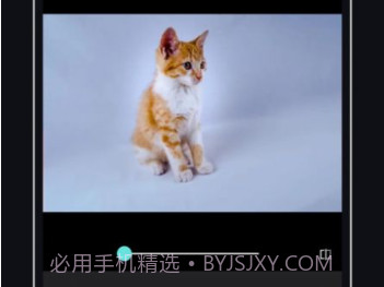 PicsDazz修图v1.9截图