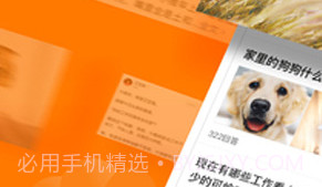悟空问答APPV1.7截图