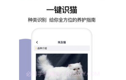 猫语翻译大全v1.13截图