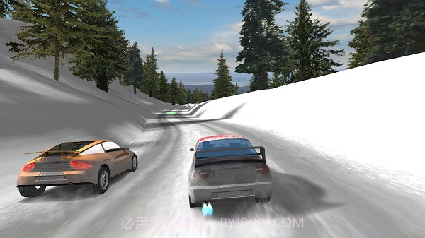拉力赛车3v3.9截图