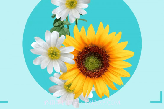 一点助手v1.0.12截图