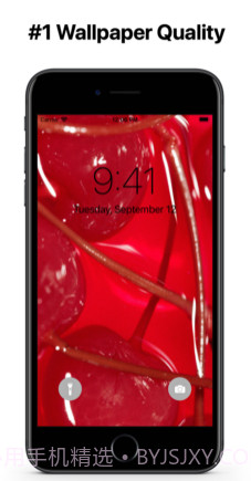 AestheticsWallpapersv1.0.10截图
